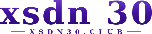 xsdn 30 logo